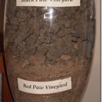 Red Paw - Black Paw Vineyard Dirt